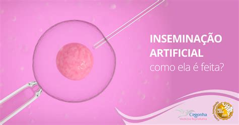 Inseminação artificial: o que é, como é feita e cuidados.